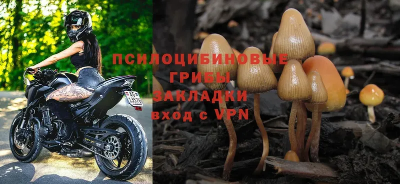 Галлюциногенные грибы Magic Shrooms Арамиль